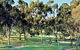 Tanunda Pines Golf Club - thumb 0