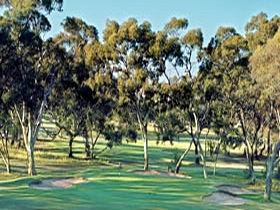 Tanunda Pines Golf Club - Accommodation Asia 0