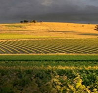 Kellermeister Wines - Accommodation Guide