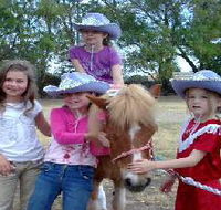 Amberainbow Pony Rides - Accommodation Asia