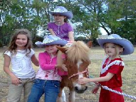 Amberainbow Pony Rides - Accommodation Guide 0