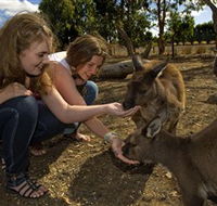 Kangaroo Island Wildlife Park - Accommodation Asia