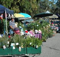 Meadows Monthly Market - Accommodation Guide