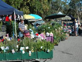 Meadows Monthly Market - Accommodation Guide 0