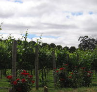 Manyara Vineyard - Accommodation Guide