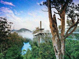 Huon Valley TAS Accommodation Guide