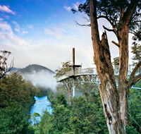 Tahune Adventures Tasmania - Accommodation Guide
