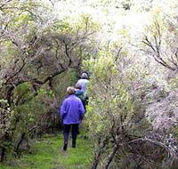 Jack And Hilda McArthur Walk - Accommodation Guide