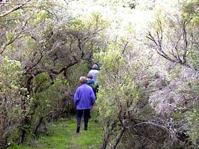 Jack And Hilda McArthur Walk - Accommodation China 0