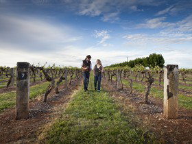 Coonawarra Wineries Walking Trail - Accommodation Guide 0