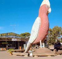 The Big Galah - Accommodation Guide