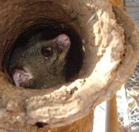 Mulga Sanctuary and Wildlife Park - Accommodation Guide