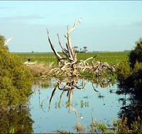 Bool Lagoon Game Reserve and Hacks Lagoon Conservation Park - Accommodation Guide