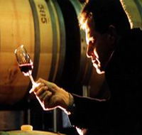 Salena Estate Wines - Accommodation Guide