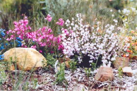 Stokes Bay Bush Garden - Accommodation Guide 0