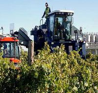 Ballast Stone Estate Wines Pty Ltd - Accommodation Guide