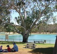 Naracoorte Nature Park and Swimming Lake - Accommodation Guide