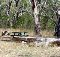 Penola Conservation Park - Accommodation Guide