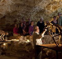 Naracoorte Caves National Park - Accommodation Guide