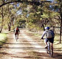 Bike About Mountain Bike Tours And Hire - Accommodation Guide
