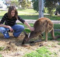 Pendleton Farmstay - Accommodation Guide