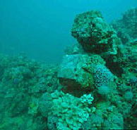 Adelaide's Underwater Heritage Trail - Accommodation China