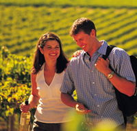 Lady Bay Vineyard - Accommodation Asia