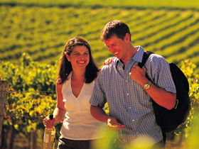 Lady Bay Vineyard - Accommodation Asia 0