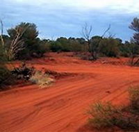 Tallaringa Conservation Park - Accommodation Guide