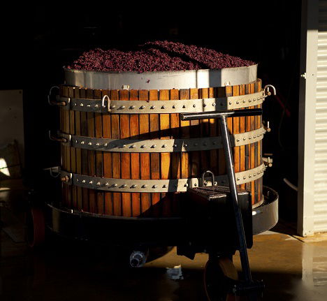 Greenock Creek Wines - Accommodation China 1