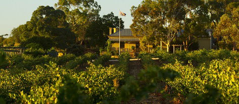 Greenock Creek Wines - Accommodation China 2