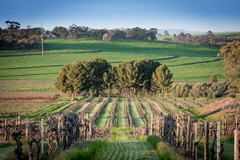 Heritage Wines - Accommodation China 1