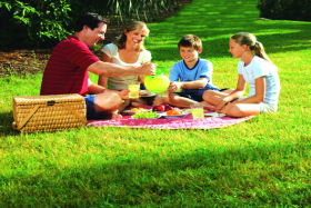 Bruny Island Berry Farm - Accommodation Guide 0
