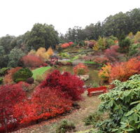 Emu Valley Rhododendron Garden - Accommodation Guide
