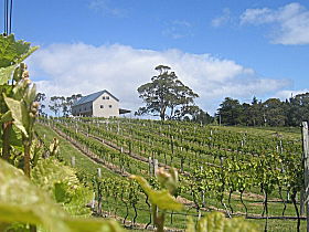 Bruny Island Premium Wines Bar And Grill - Accommodation Guide 0