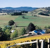 Freycinet Vineyards Pty Ltd - Accommodation Guide