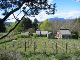 Wilmot TAS Accommodation Guide