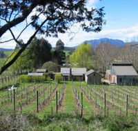 Wilmot Hills Vineyard - Accommodation Guide