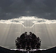 aart. Gallery of Fine Art - Accommodation Guide