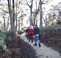 Bridport Walking Track - Accommodation Guide