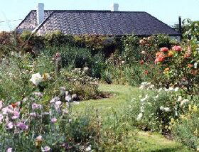 Rosedown Gardens - Accommodation China 0