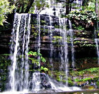 Mt Field National Park - Accommodation China