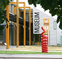 Queen Victoria Museum and Art Gallery - Accommodation Guide