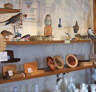Touchwood Craft Gallery Gifts and Cafe - Accommodation Guide