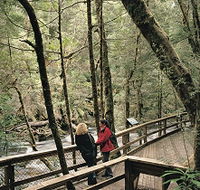Franklin River Nature Trail - Accommodation Guide