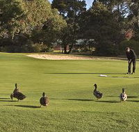 Royal Hobart Golf Club - Accommodation Guide