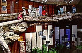 West Coast Visitor Information And Booking Centre - Accommodation Guide 0