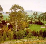 The Tasmanian Arboretum - Accommodation Guide