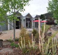 Tin Dragon Interpretation Centre and Cafe - Accommodation Asia
