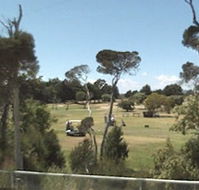Greens Beach Golf Course - Accommodation Guide